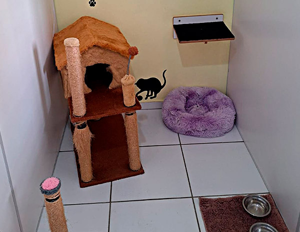 Suíte Bebê Hotel Gatinho Feliz