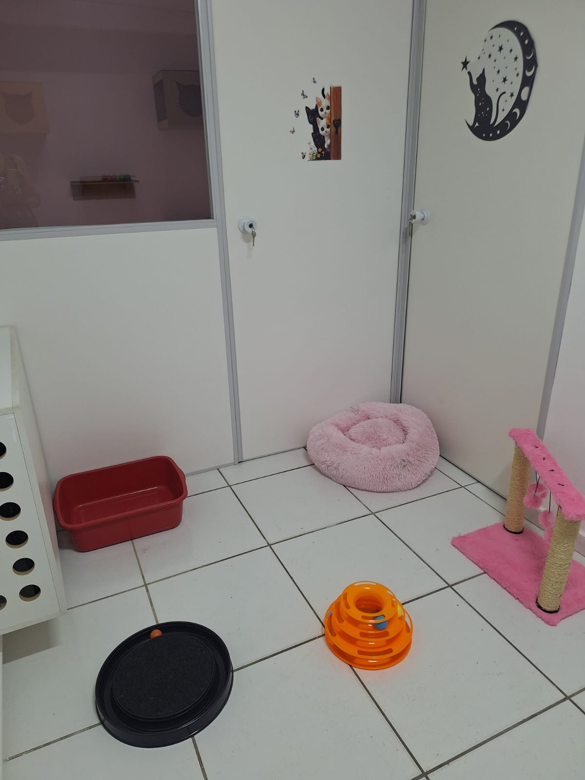 Suíte Kimmy | Hotel Gatinho Feliz