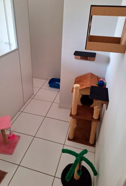 Suíte Nick | Hotel Gatinho Feliz