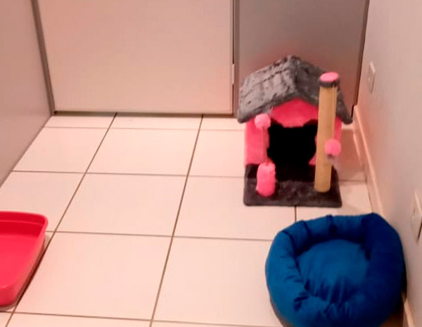 Suíte Oliver Hotel Gatinho Feliz