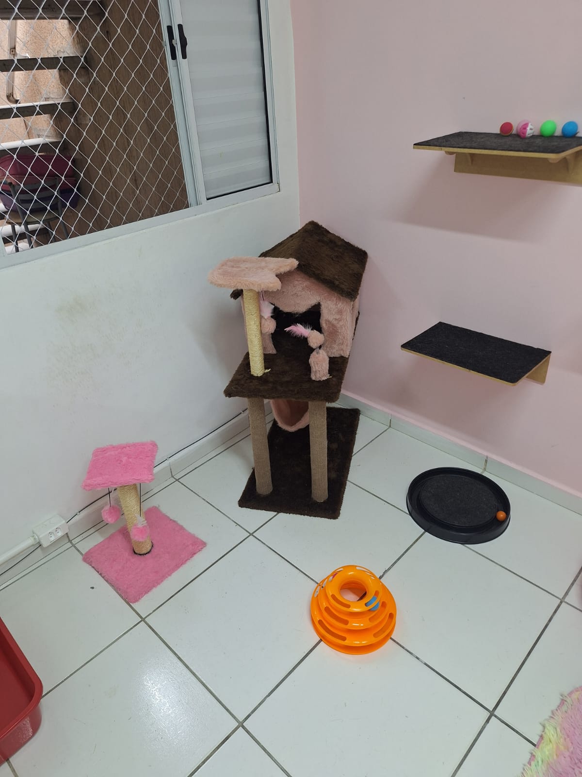 Suíte Petit | Hotel Gatinho Feliz