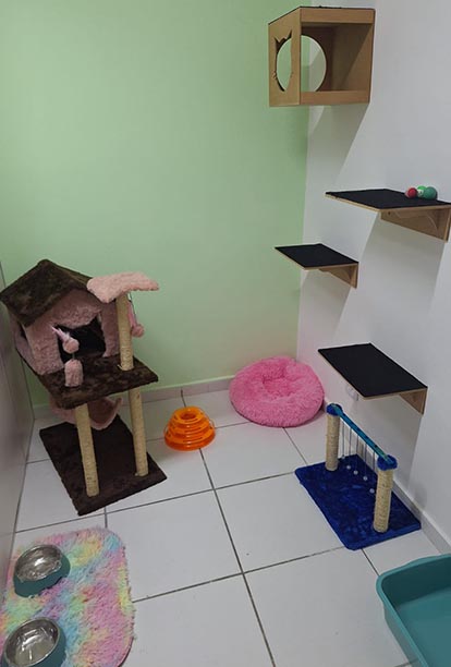 Suíte Vinny | Hotel Gatinho Feliz